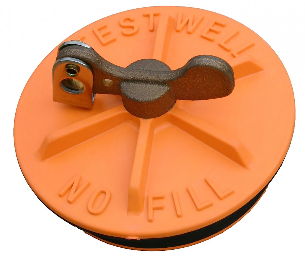 TEST WELL PLUG - 4"